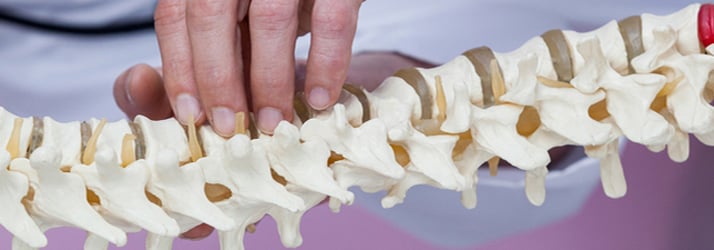 Health Advice From a Olympia Chiropractor